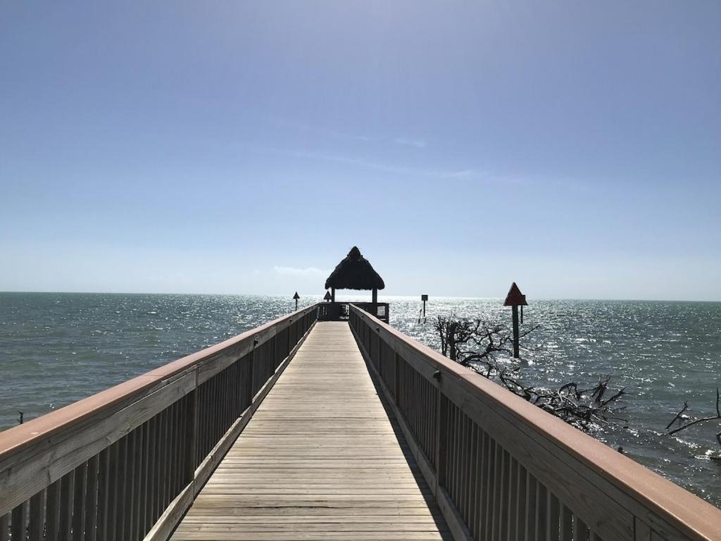 Tropical Daze Oceanfront Paradise Tavernier Exterior photo